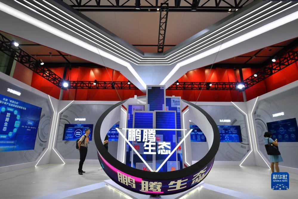 八达国际网址是多少